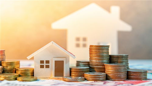 代糖龙头金禾实业初裁过关美国337调查,境外业务占比近三成