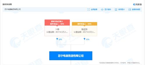 突发 苏宁电器集团被强制执行超过30亿元