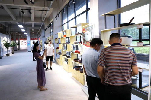 陆川 枝繁巢暖引凤栖 英才汇聚发展兴